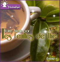 Divination Feuilles de The